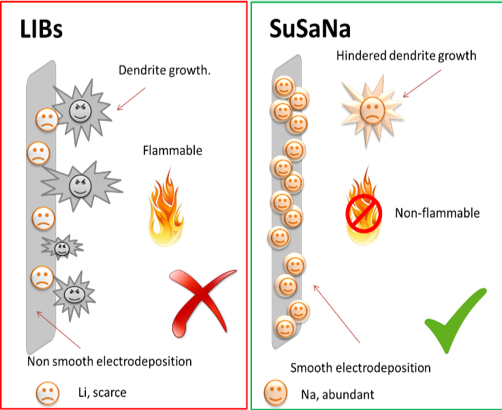 Figure 1: Schematic representation of SuSaNa project aims